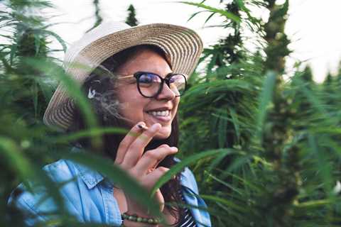 6 Cannabis Experiences To Explore In Legal States