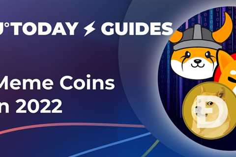 Dogecoin (DOGE), Shiba Inu Coin (SHIB), who else?  Comprehensive Guide to Meme Coins in 2022