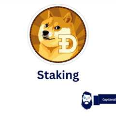 Top 5 Places to Stake Dogecoin in 2022