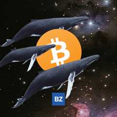 Bitcoin Whale moves 5,009 BTC from Binance – Bitcoin (BTC/USD)