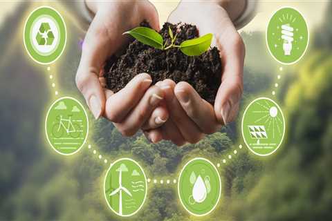How Business Operations Can Positively Impact Environmental Sustainability