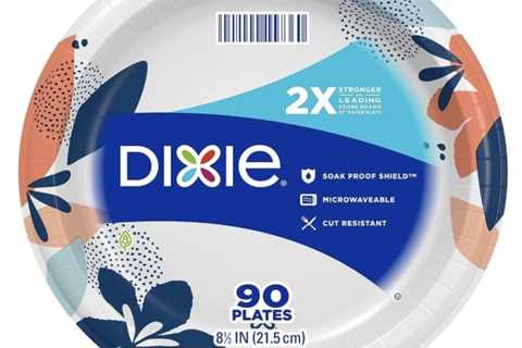 Dixie Medium Paper Plates (90 depend) solely $5.62 shipped!