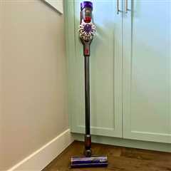 *HOT* Dyson V8 Animal Further De-tangle Cordfree Vacuum with 8 Instruments simply $299.98 shipped..