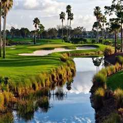 A Comprehensive Guide to Changing Your Business Entity Name in Clearwater, Florida