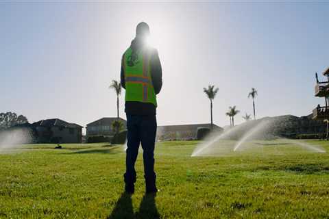 Comprehensive Guide to Obtaining a Professional License for Business Entities in Clearwater, Florida