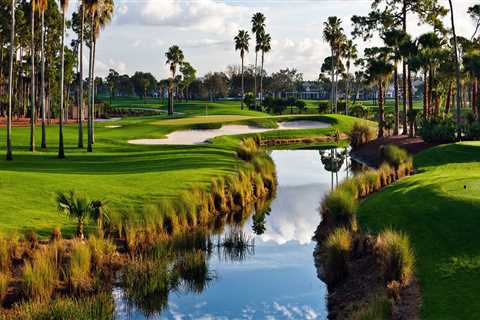 A Comprehensive Guide to Changing Your Business Entity Name in Clearwater, Florida