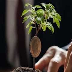 Building a Sustainable Long-Term Investment Strategy for Stock Investing