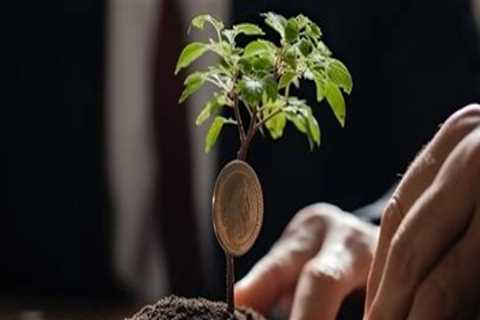 Building a Sustainable Long-Term Investment Strategy for Stock Investing